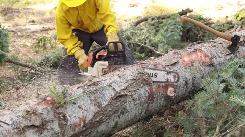 This Technique Could Save Your Chainsaw - Cutting Techniques
