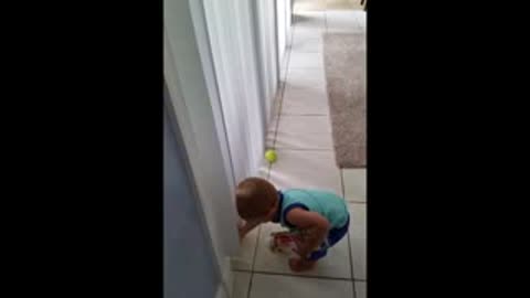 Toddler Struggles To Clean Up Tennis Balls