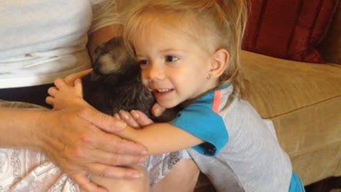 Adorable 2-year-old meets newborn puppy