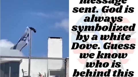 A Black Crow Takes Israeli Flag off Pole and Throws it to the Ground