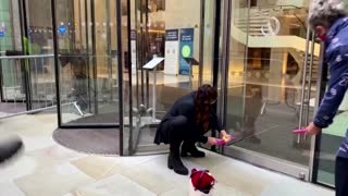 UK climate activists smash JPMorgan office