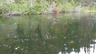 Coho Fishing