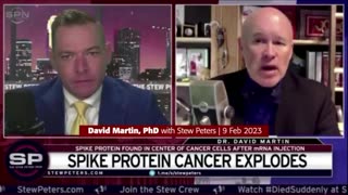 COVID-19 VACCINE IS A BIOWEAPON MEANT TO HARM AND KILL PEOPLE, SAYS DAVID MARTIN, PHD