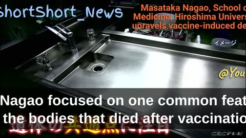 Deaths and severe side effects from Covid-19 vaccines