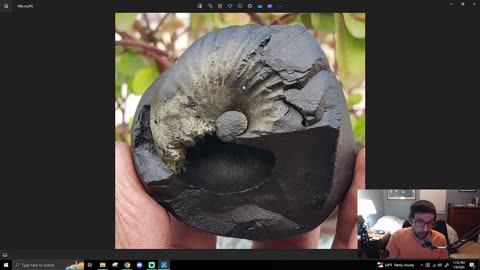 Underground Science #381 - Morphing Ammonites