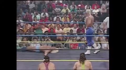 NWA/WCW Ric Flair VS Sting