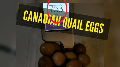 CANADIAN QUAIL EGGS tested for nitrates in PPM