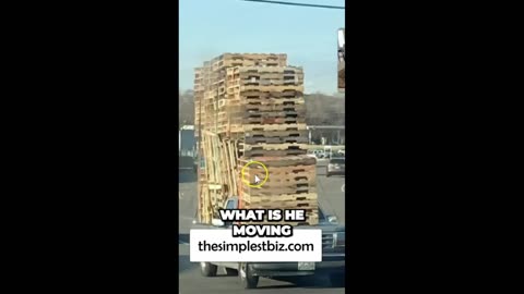 Part 2 uncovering the Surprising Truth About Pallet Scavengers