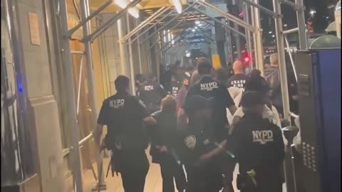 NYPD arrests more than 300 pro Palestinian protesters in Grand Central