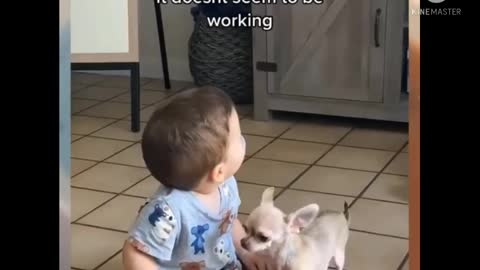 BABY PLAYING HAPPILY WITH DOGS.