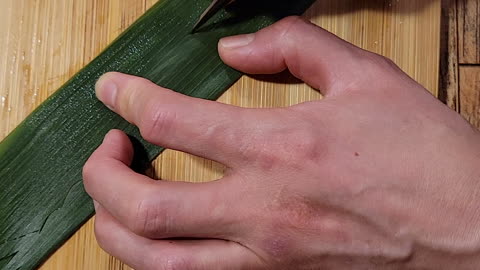 Leaf Cutting "SHRIMP"