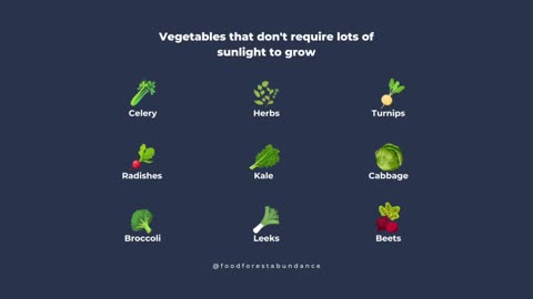 Vegetables that don't require lots of sunlight to grow