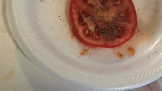 Cool tomato recipe