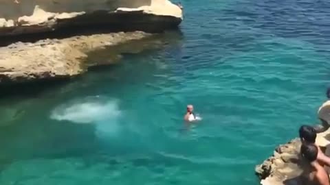 Here I come!! Brave dog loves diving into the ocean