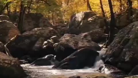 close the eye and listen this sound #shortvideo #subscribe #varilvideo #nature