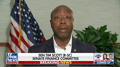 Sen. Tim Scott: 'Your vote matters today more than it has ever mattered'