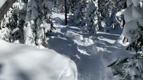 Thick White Powdery Snow & Beautiful Blue Skies – Central Oregon – Swampy Lakes Sno-Park