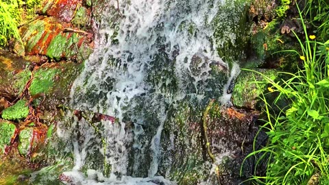 Beautiful waterfall in the forest / fresh water in the forest.