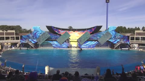 The Complete _One Ocean_ Shamu Show at SeaWorld