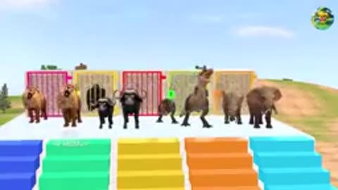 Paint Animal Gorila Tiger Elephant fountain crossing game