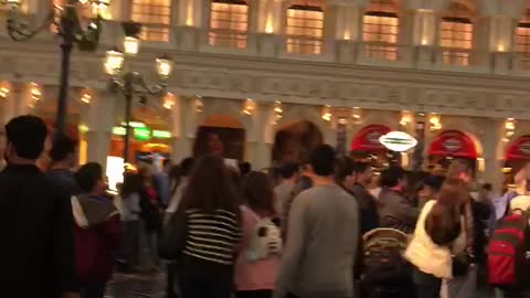 The Venetian in Las Vegas