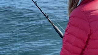 Halibut fishing. Alaska