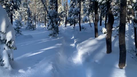 Hiking in the Snow – Central Oregon – Swampy Lakes Sno-Park