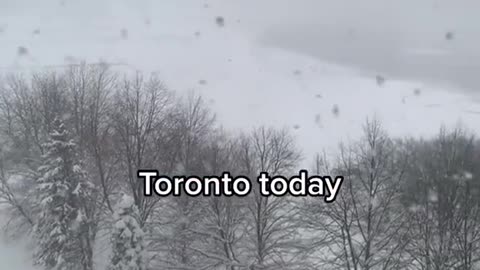 Weather changes in Toronto, Canada 🇨🇦 warm - cold winter