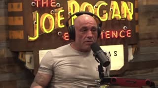 Rogan on the huge surge in young people identifying as LGBTQ
