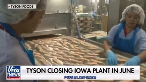Tyson Foods Gets In Trouble For Getting Political