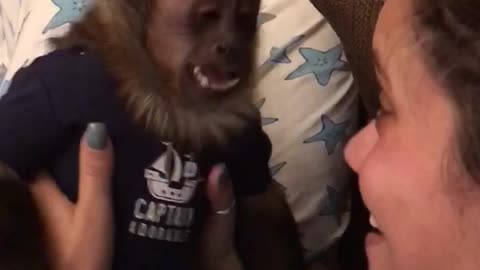 Russel the monkey and his human sister having a conversation