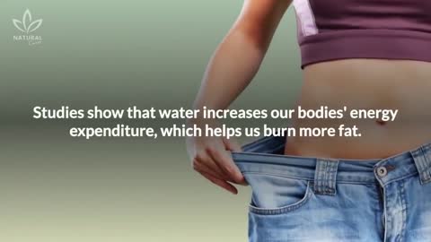 Why Drink More Water? The Benefits of Drinking More Water (for weight loss)