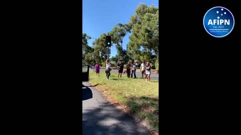 Canberra: Pro Vaxxer attacks and crashes into freedom protestor Video 1 of 2