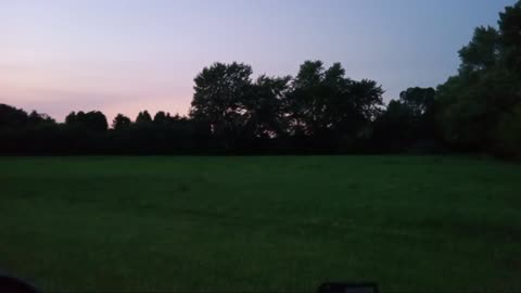 Fireflies in an Open Grass Field