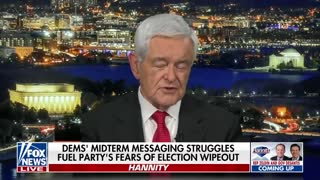 Newt Gingrich: This will lead to a tsunami of historic proportions
