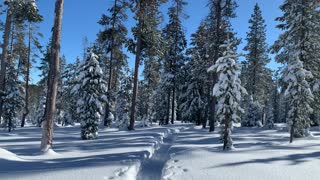 Classic Winter Wonderland – Central Oregon – Swampy Lakes Sno-Park – 4K