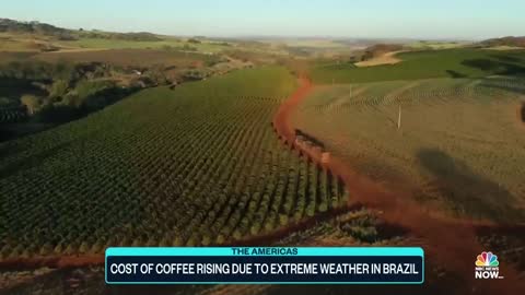 Cost Of Coffee Rises Due To Extreme Weather In Brazil
