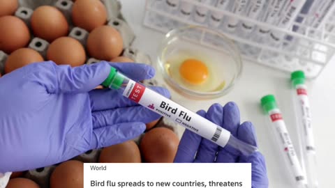 Bird flu spreads to new countries, threatens non-stop "war" on poultry