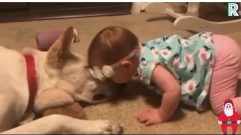 Baby and Dog funny moment