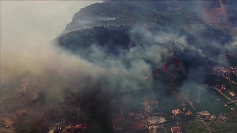 Wildfire rages around Sicily's Palermo