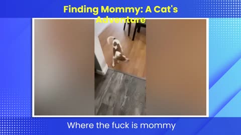 finding mummy