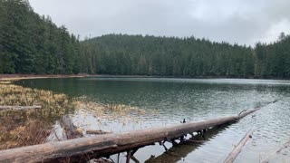 Oregon – Mount Hood National Forest – Western Shore Lake Views – 4K