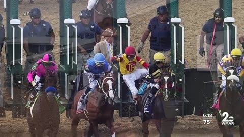 Mage magical ahead of 148th Preakness Stakes
