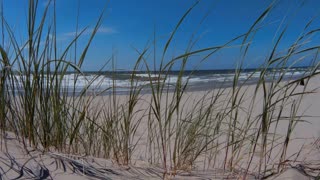 Summer day at the beach watching the waves in the breeze