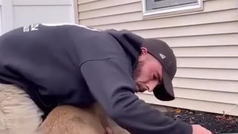 Man's simple act saved the deer