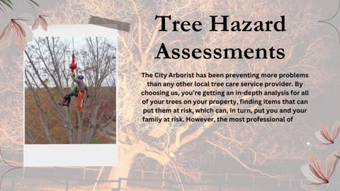 Tree Removal - The City Arborist