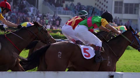 Unbelievable horse race! Pakistan