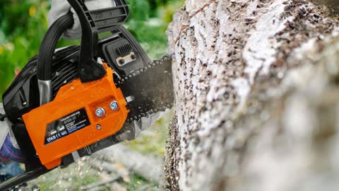 Best 5 Professional Chainsaw ( Top 5 Professional Chainsaw )