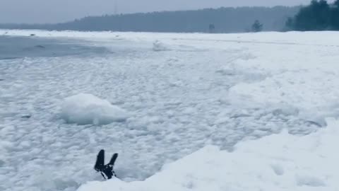 Boy diving in ice beach wonderful