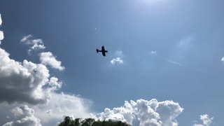 2019 Thunder Over Michigan: Corsairs 1 by 1 Overhead